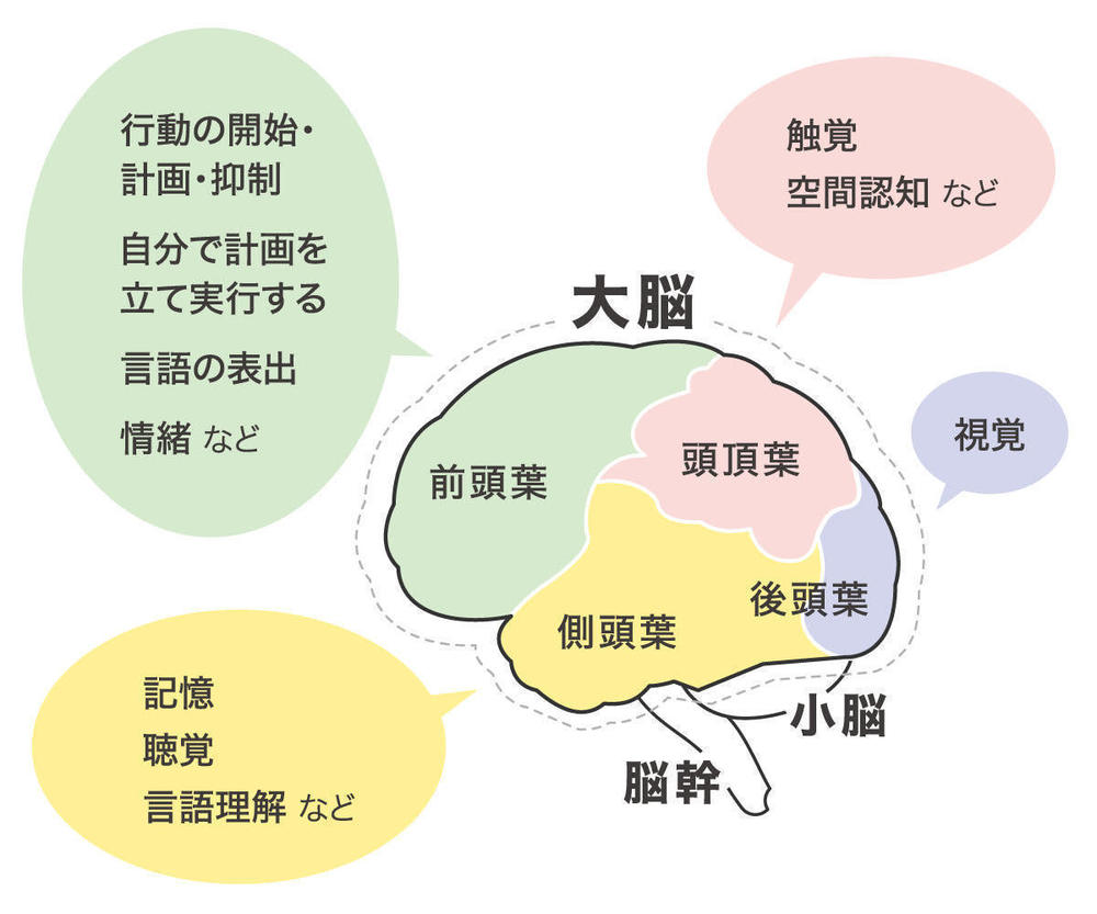 高次脳機能障害の原因