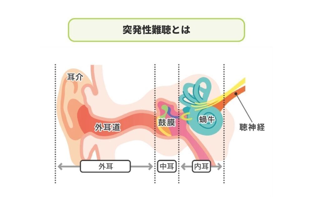 記事トップイメージ画像