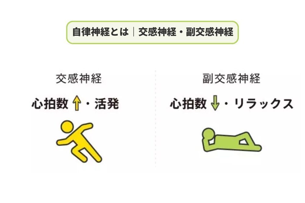 記事トップイメージ画像