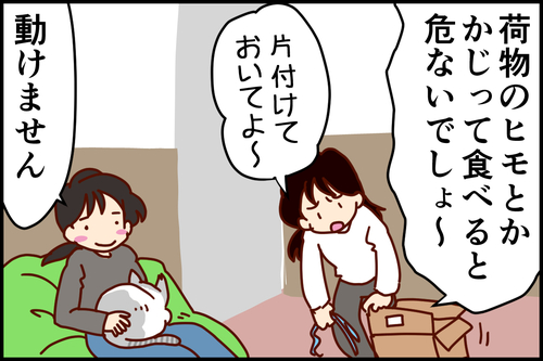 m_2c176103-3473-47d9-a08d-