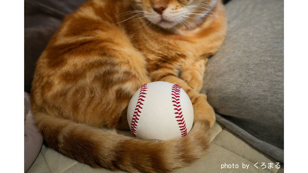 記事トップイメージ画像