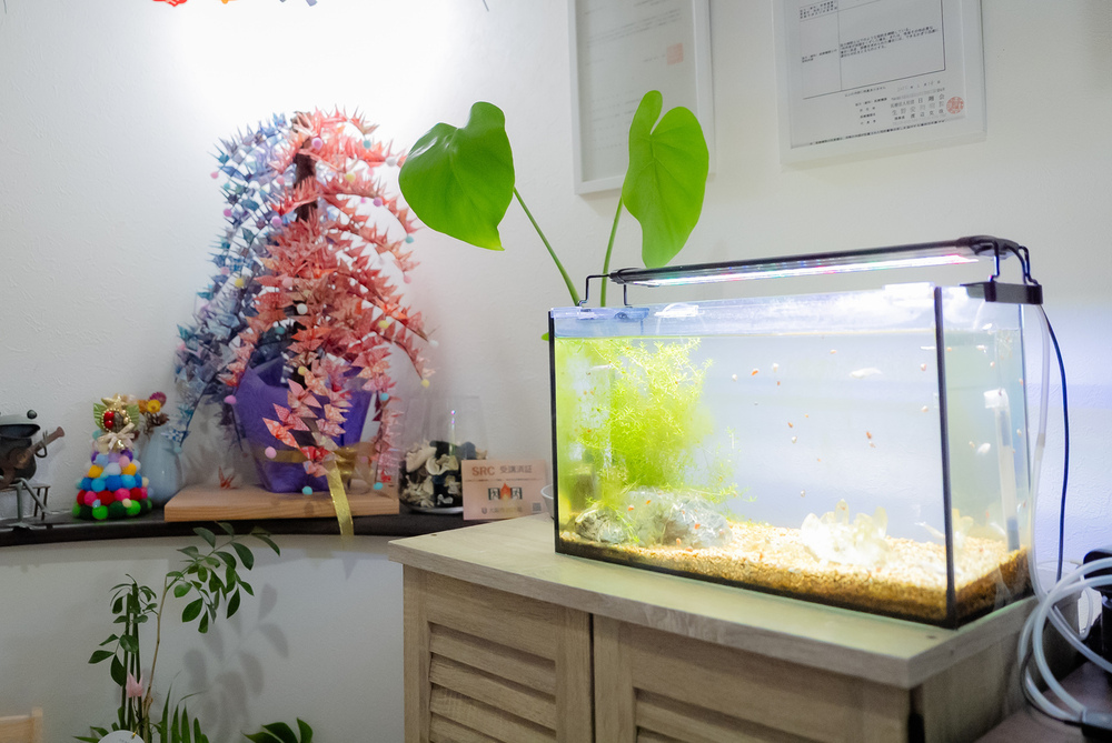 記事トップイメージ画像