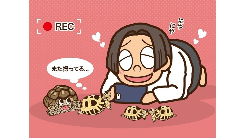 記事トップイメージ画像