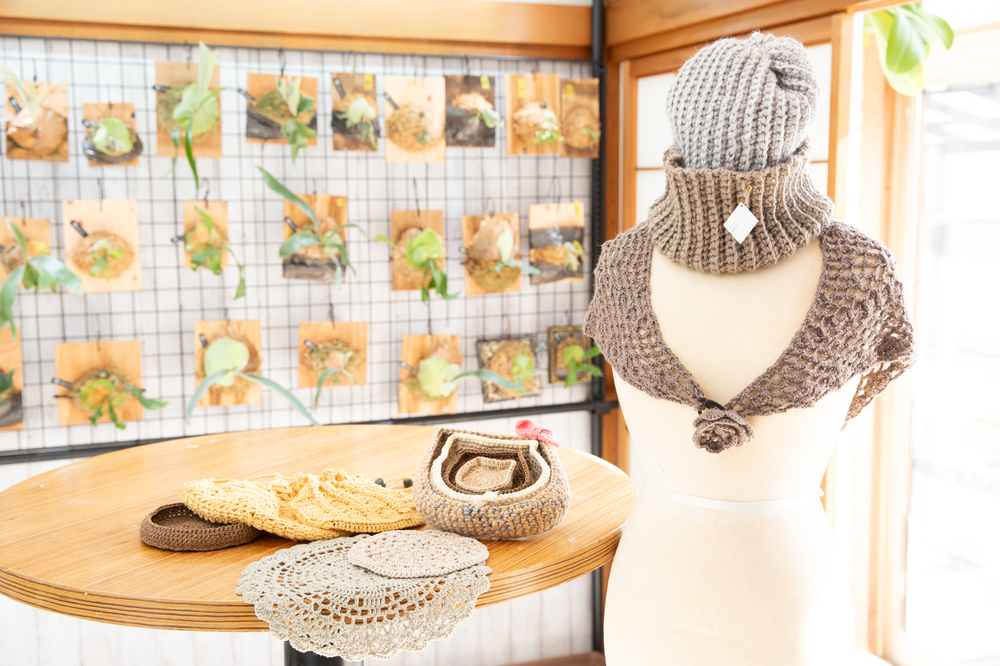 記事トップイメージ画像