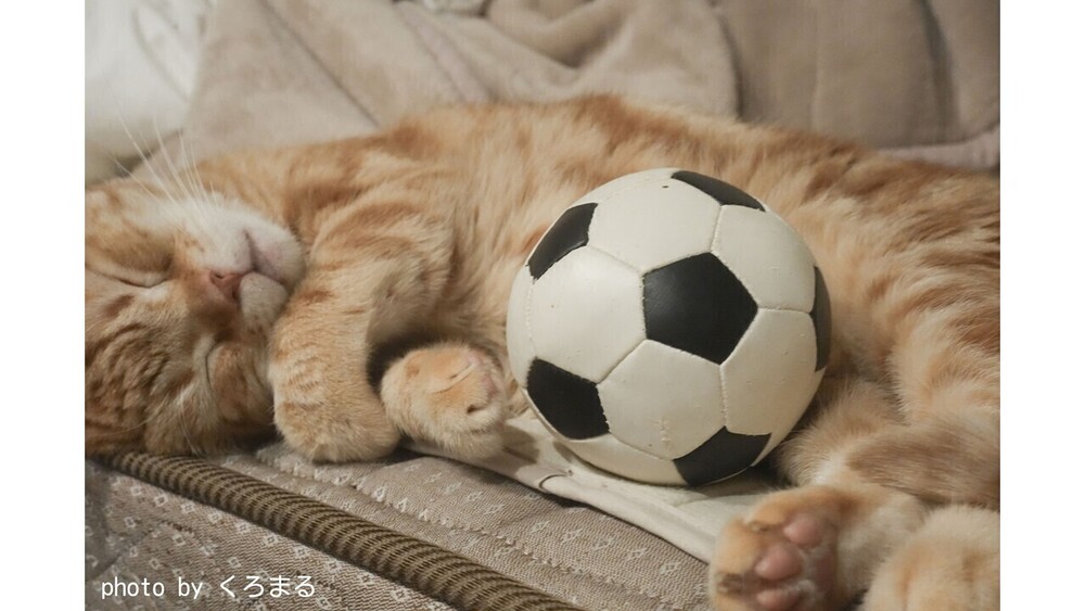 記事トップイメージ画像