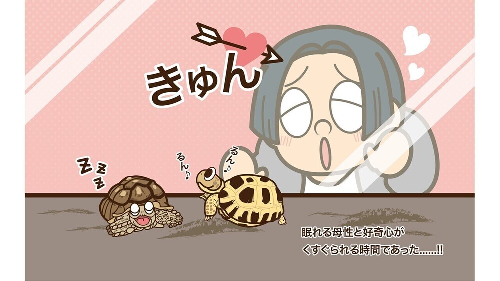 記事トップイメージ画像