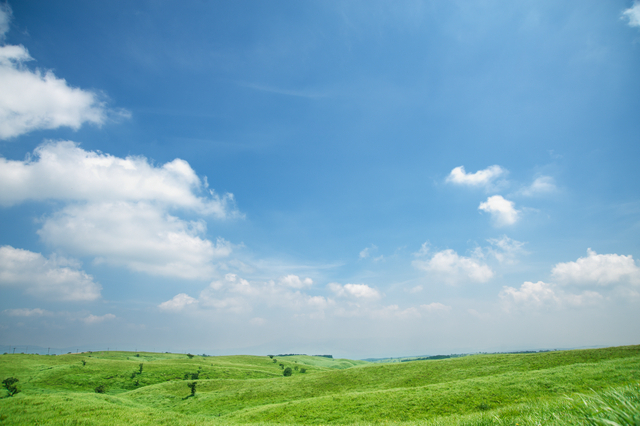 記事トップイメージ画像