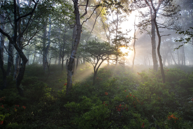 記事トップイメージ画像