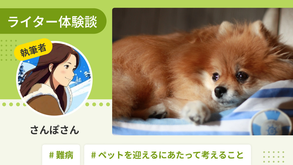 記事トップイメージ画像