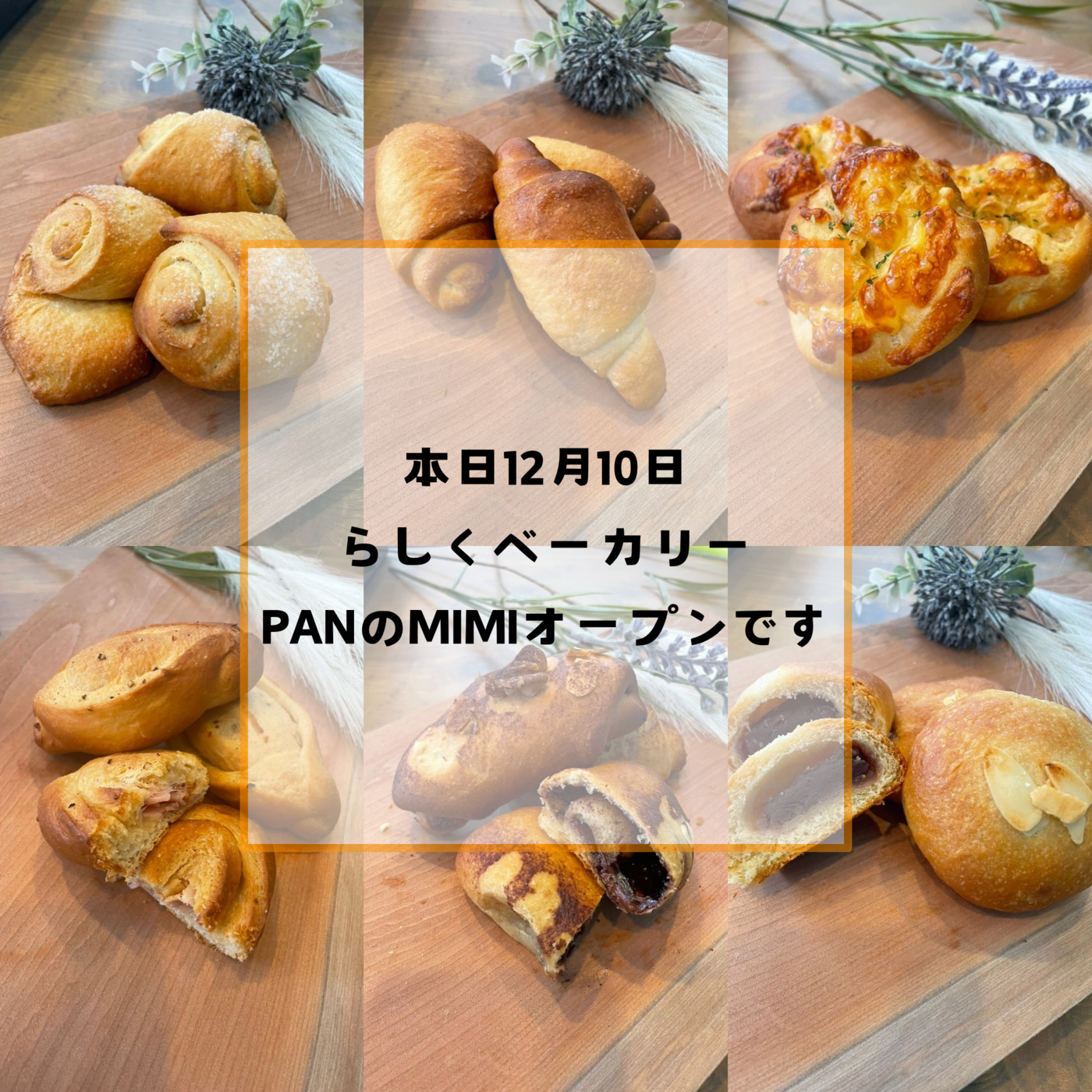 本日OPEN ベーカリーショップ「PANのMIMI」 /小樽障害福祉事業所
