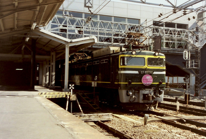 写真好き『EF81-114寝台特急トワイライトエクスプレス』ネガ