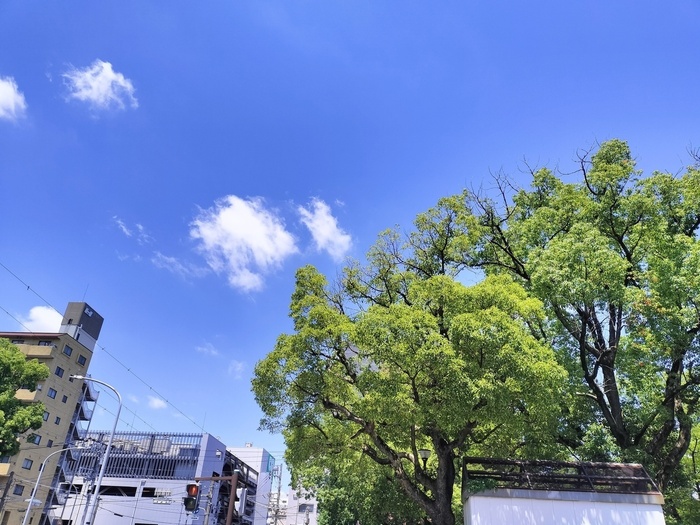 真夏にスタート！私たちの就労継続支援B型事業所がオープンしました