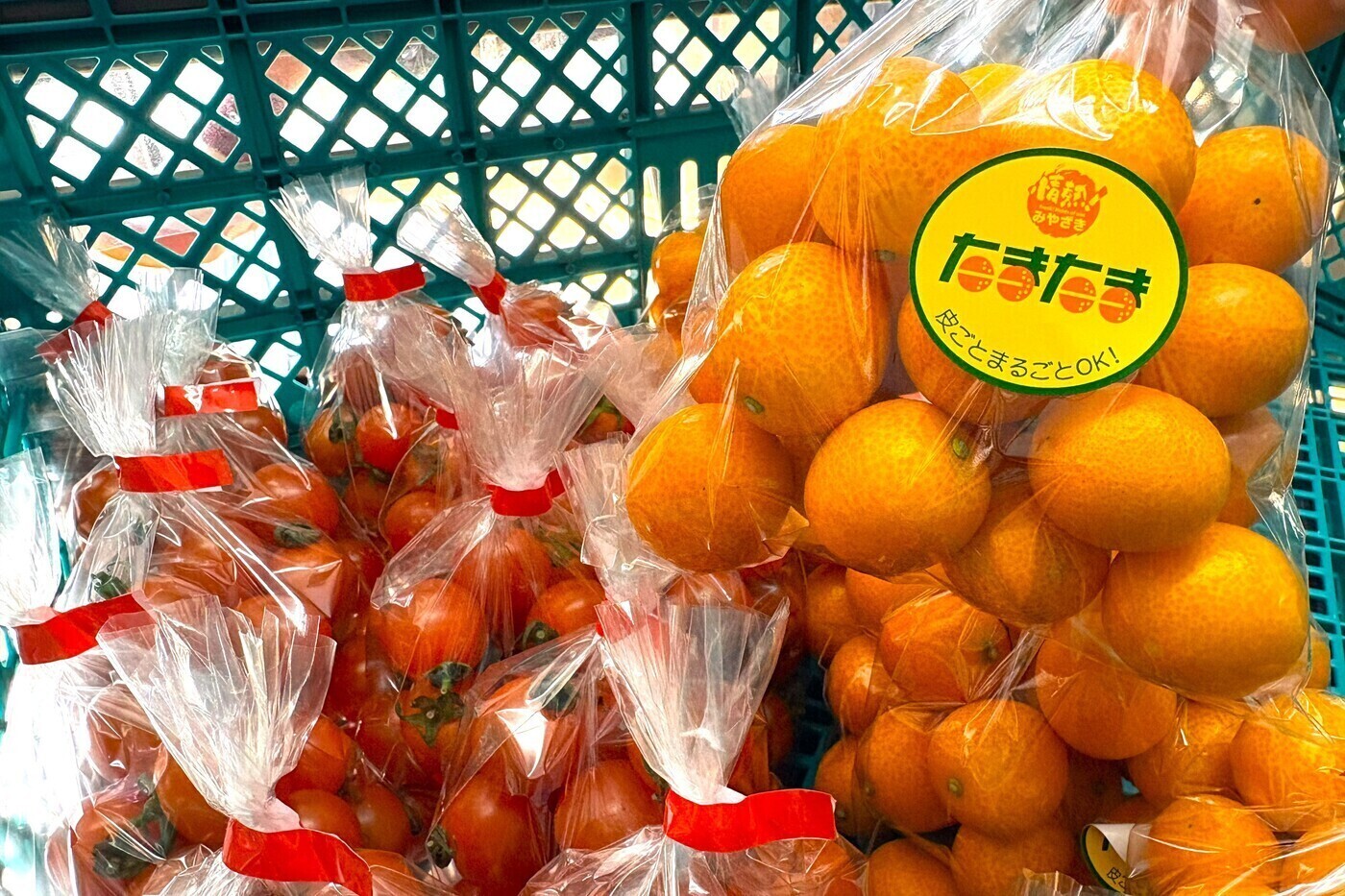 作業紹介】宮崎県産 完熟きんかん「たまたま」の軽量・袋詰め🍊FRUIT