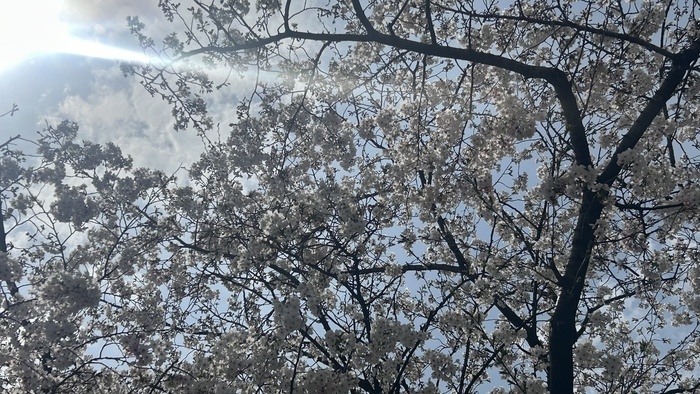 休み時間の過ごし方♡TANOSHIKA CREATIVE 諏訪野町 のブログ