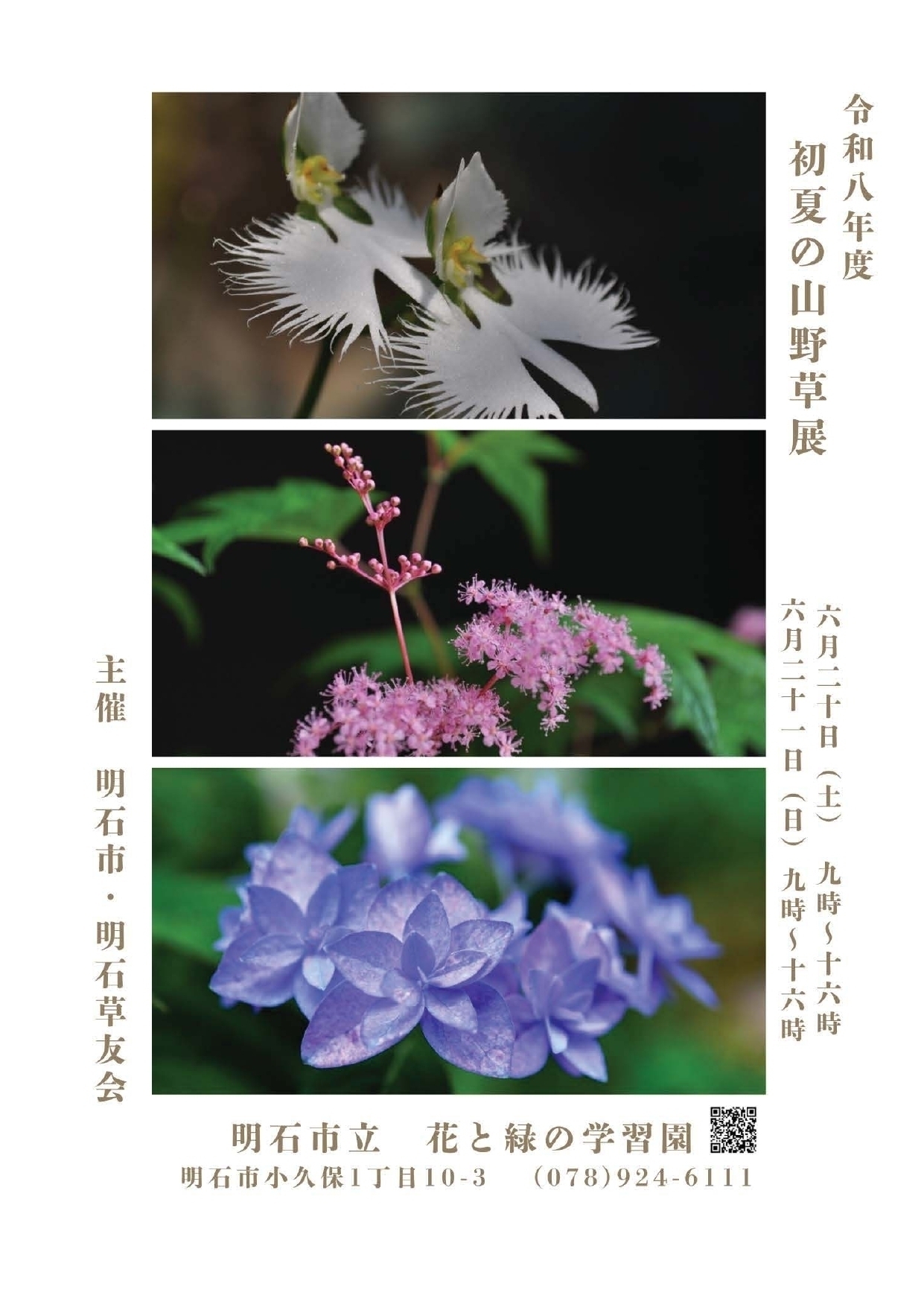 💁‍♀️明石のニュース🙋‍♀️ - 「令和8年度 初夏の山野草展」開催