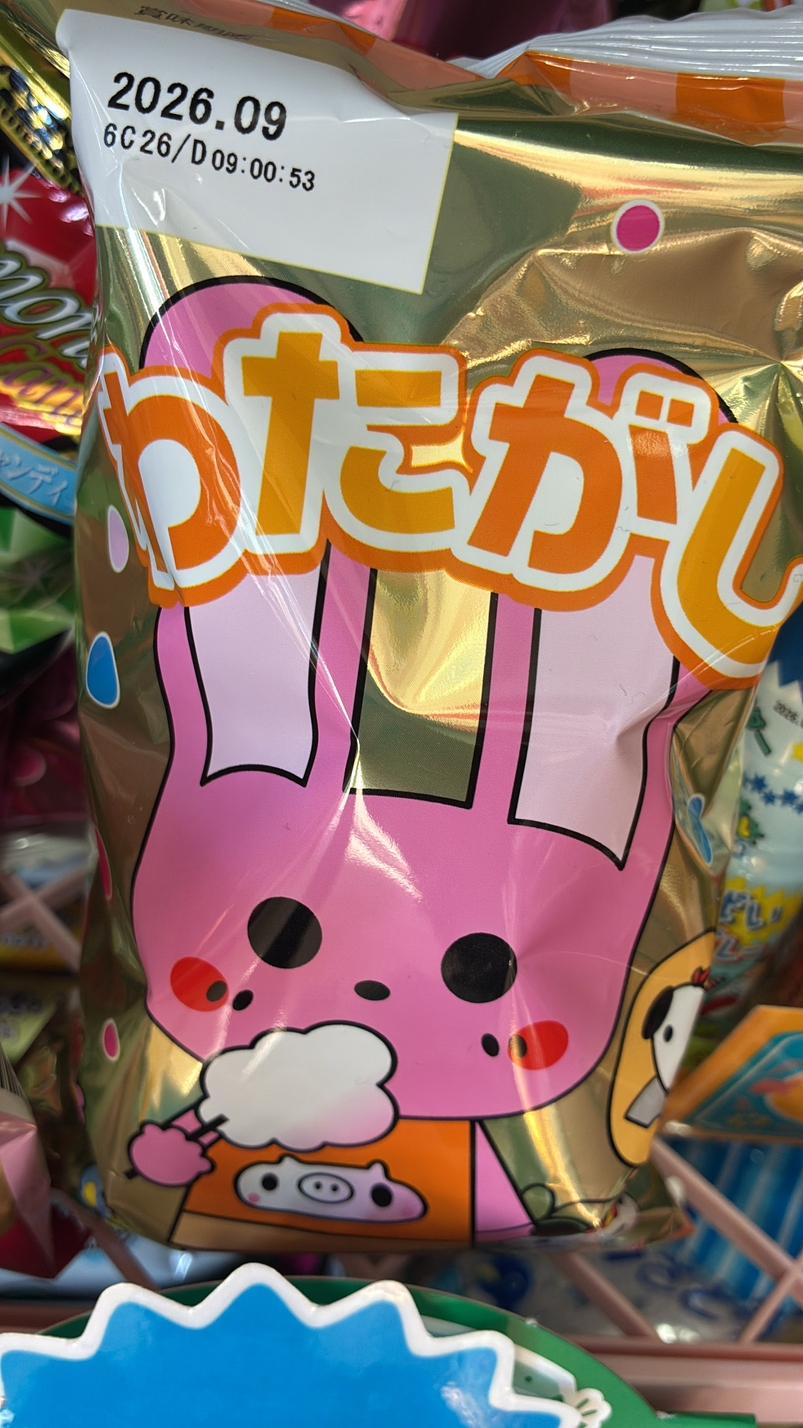 わたがしわいわいガーデン のブログ | LITALICO仕事ナビ