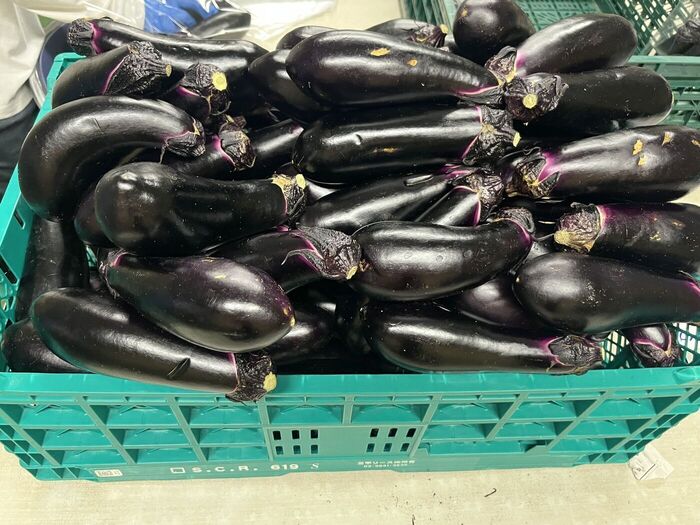 🍆茄子の加工🍆Be Happy アドバンス のブログ | LITALICO仕事ナビ