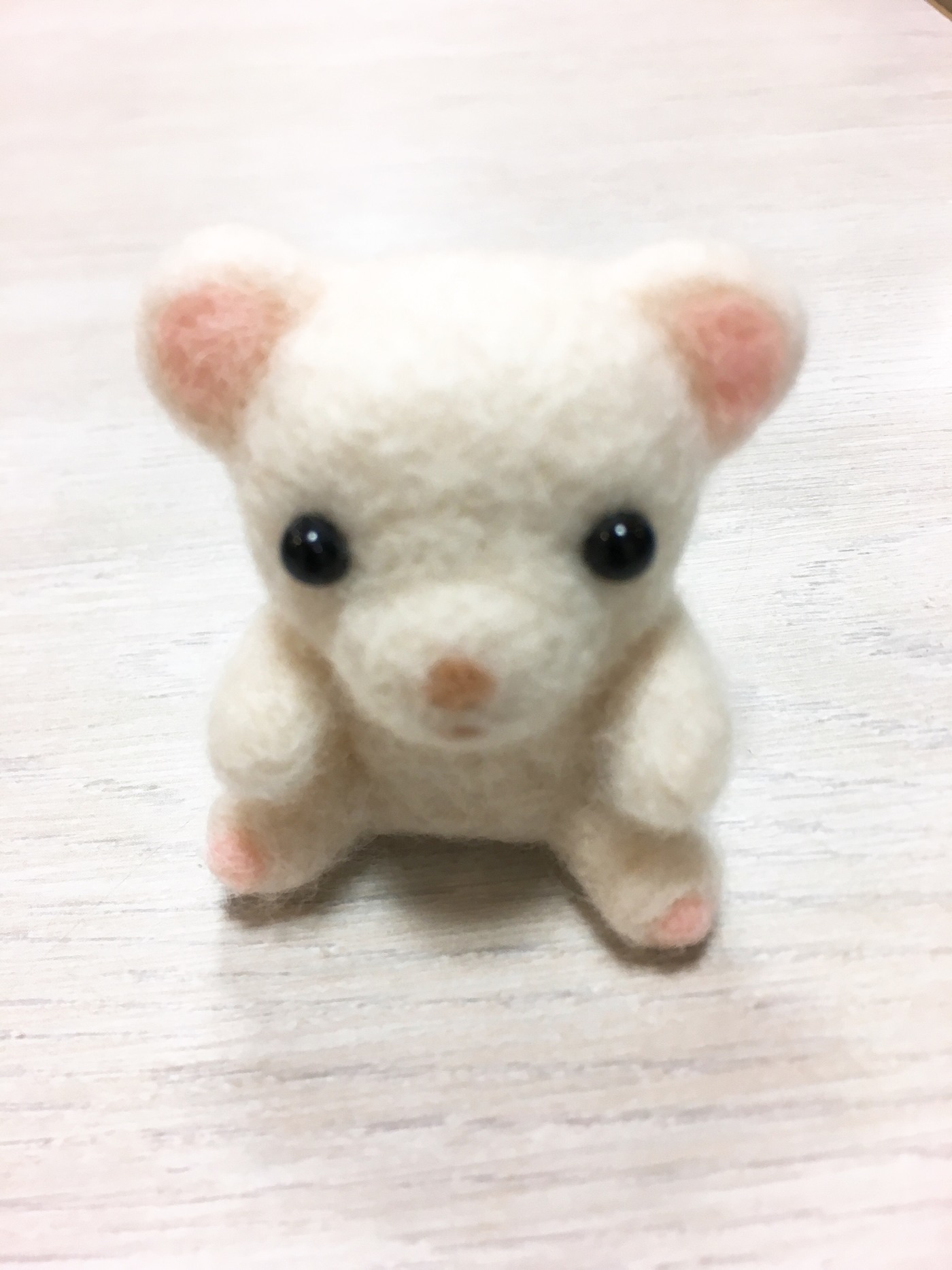ドリームサポート