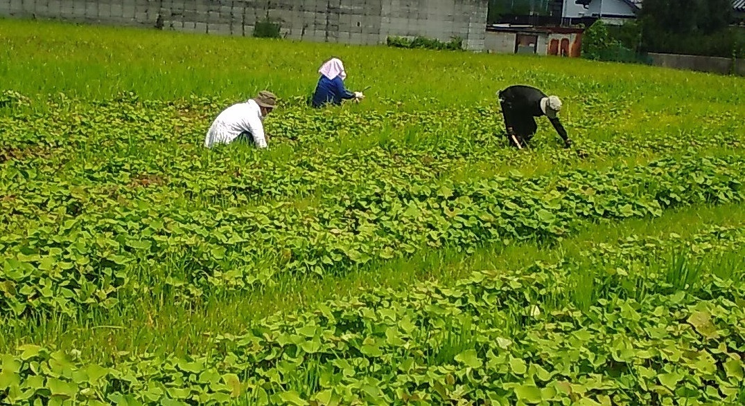 就労支援事業所フレイ