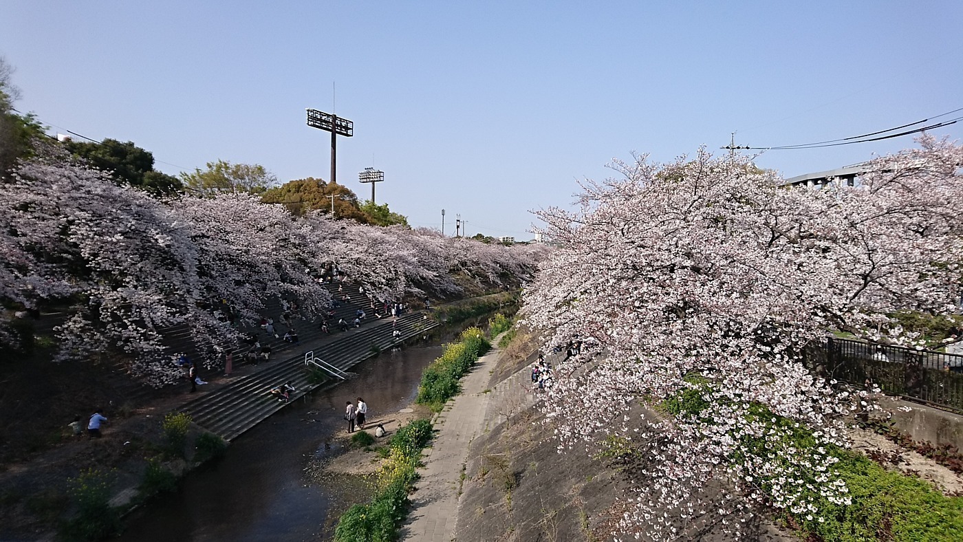 写真14395