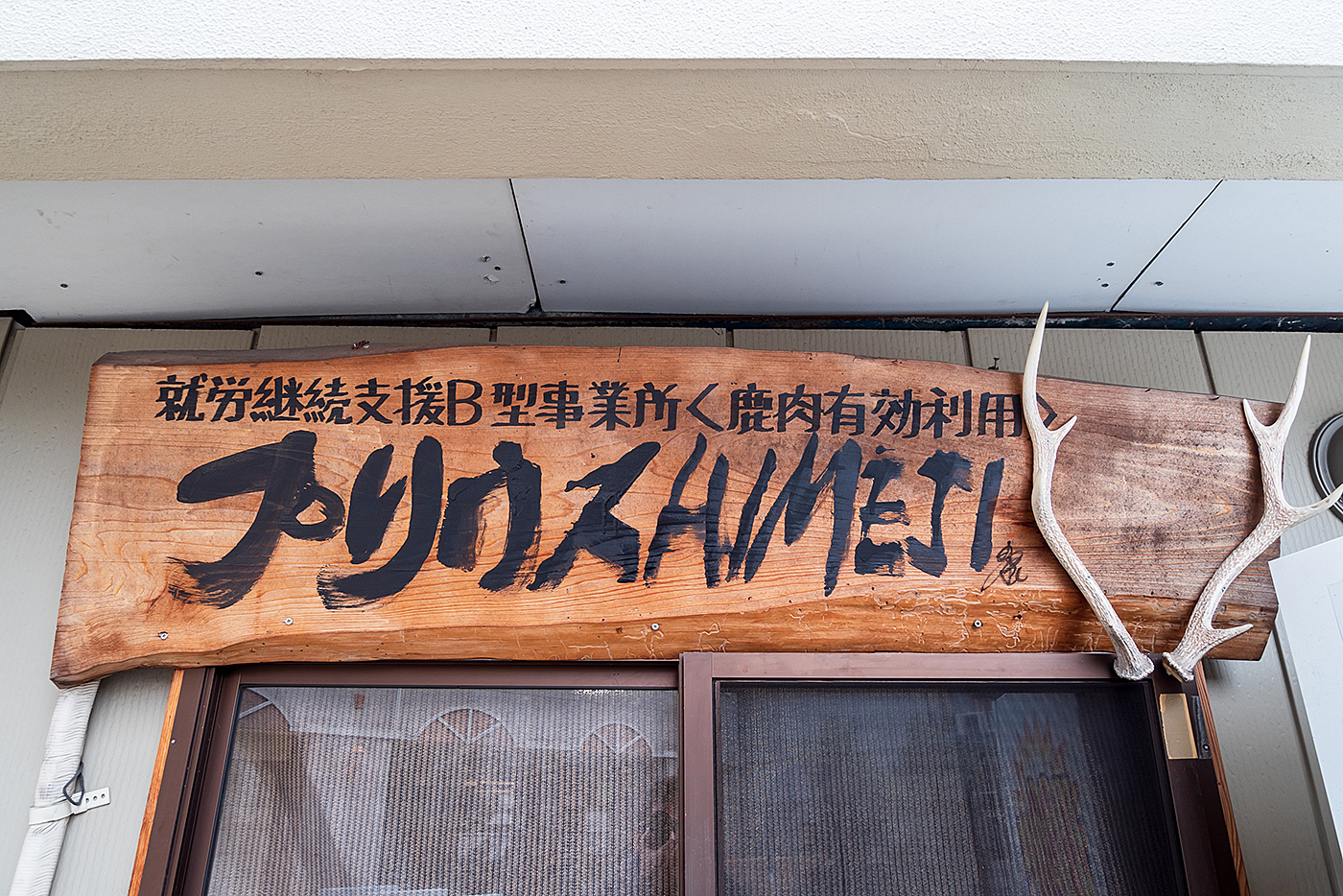 写真14957