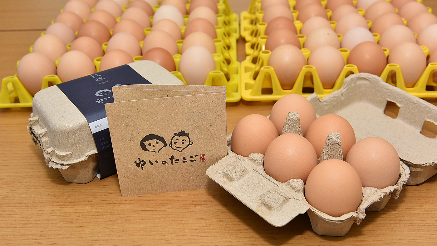 写真13386
