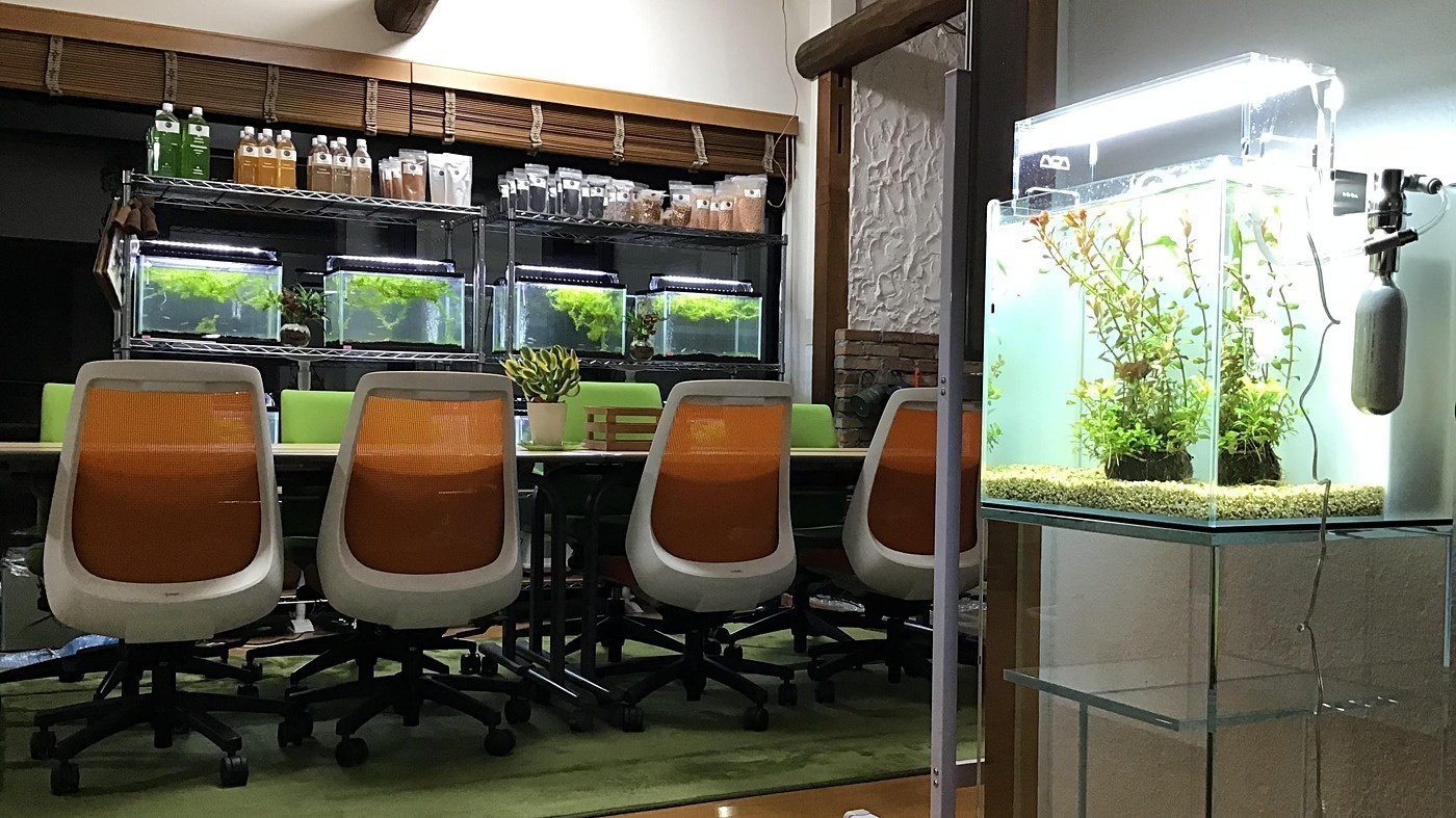 写真10929