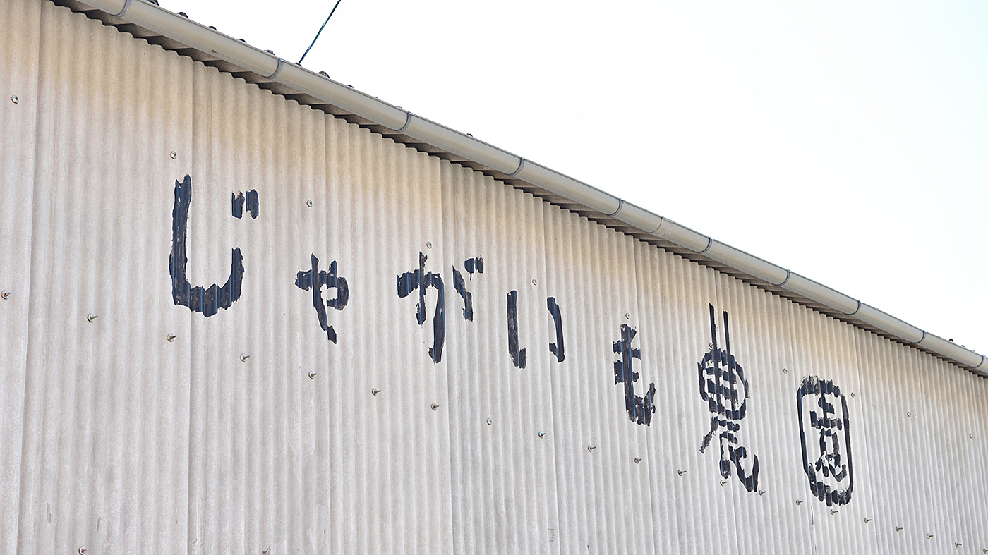 じゃがいも農園