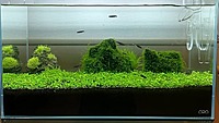 和をイメージした水槽です！！渋いでしょ？？