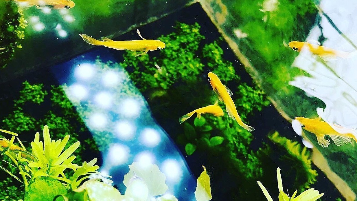 写真10921