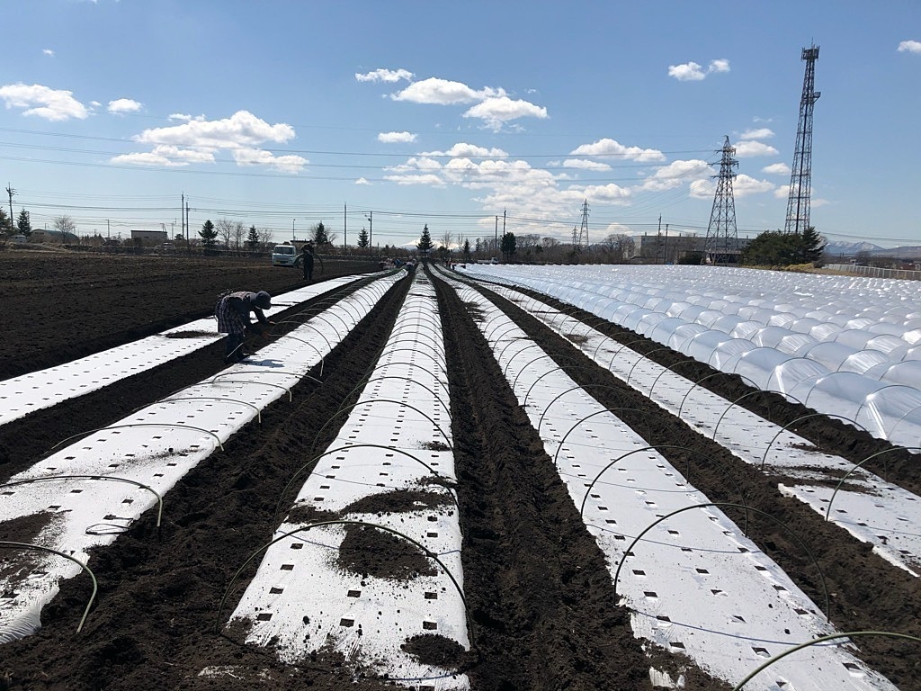 就労継続支援a型ぴーかーぶー 北海道札幌市手稲区の就労継続支援a型事業所 の詳細情報 Litalico仕事ナビ