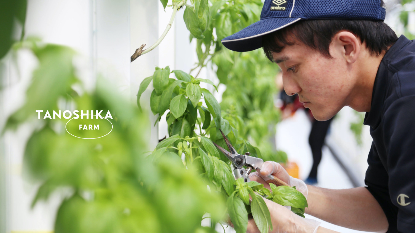 Tanoshika Farm 福岡県久留米市の就労継続支援a型事業所 の詳細情報 Litalico仕事ナビ