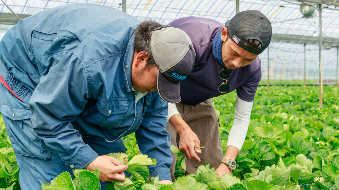 Tanoshika Farm 福岡県久留米市の就労継続支援a型事業所 の詳細情報 Litalico仕事ナビ