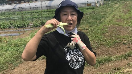 写真24738