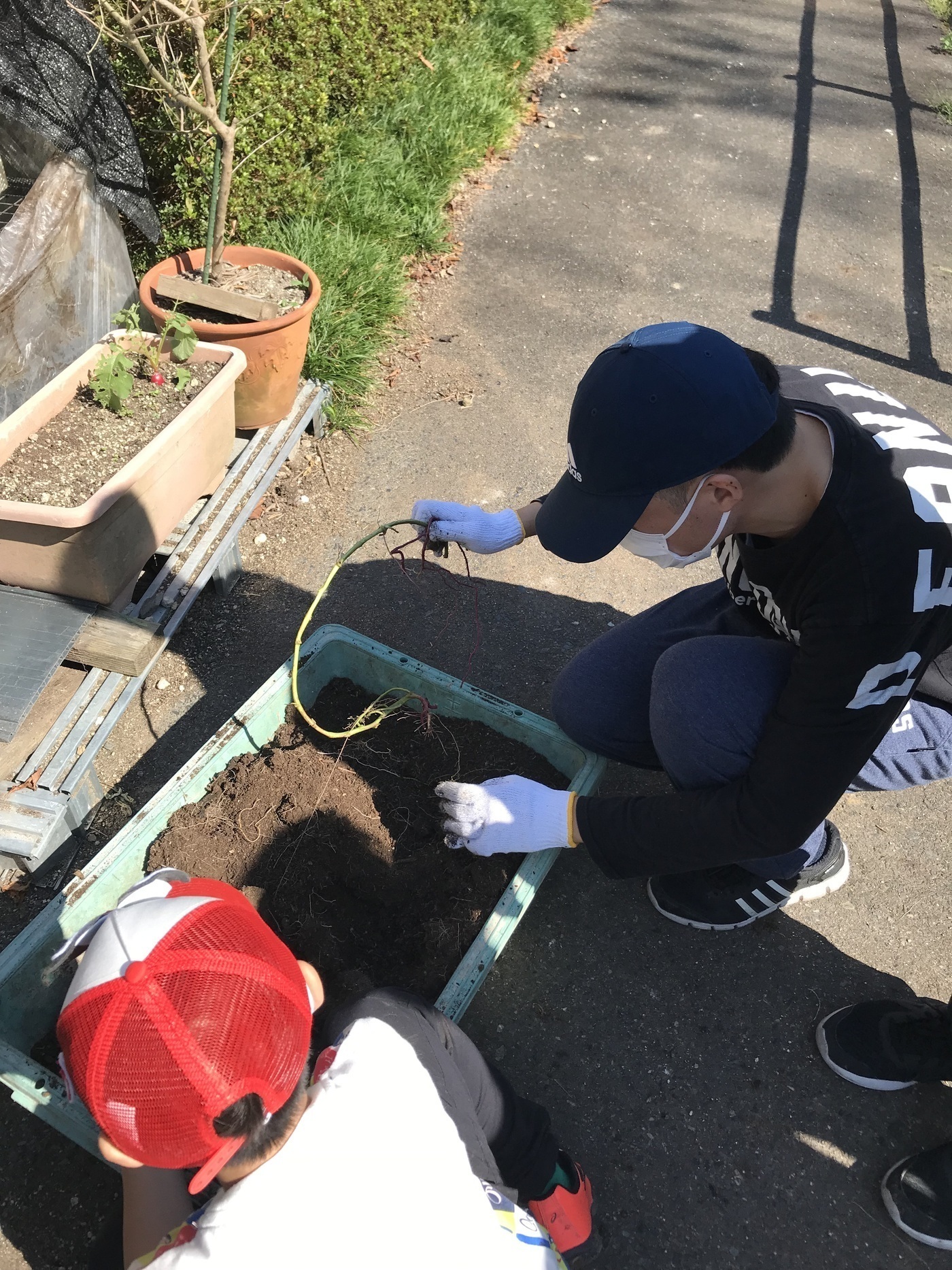 りんごの作業所