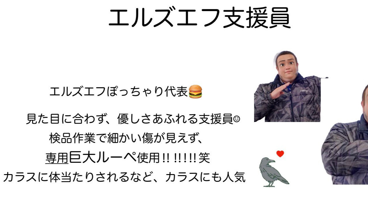 エルズエフ上溝