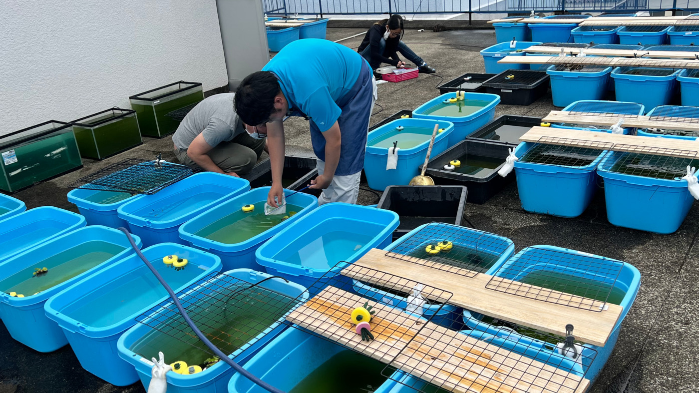 めだかハウス延岡