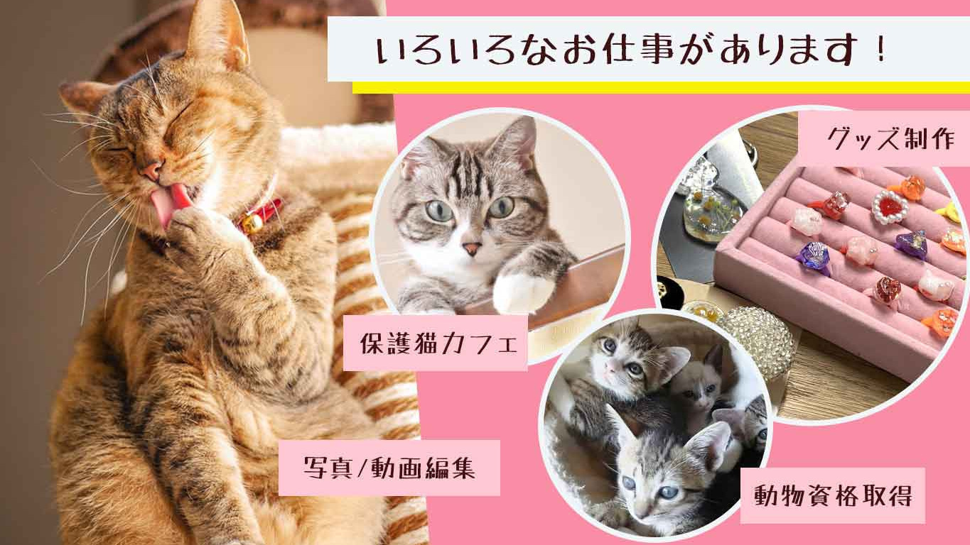 ネコパンチ様専用 577】猫パンチ様専用ページ ネコパンチ様専用ページ