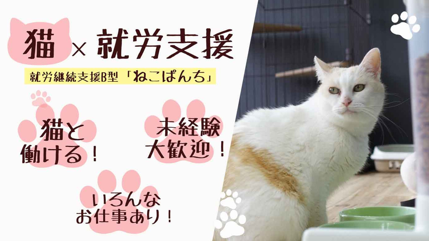 ねこぱんち廿日市(広島県廿日市市の就労継続支援B型事業所)の詳細情報