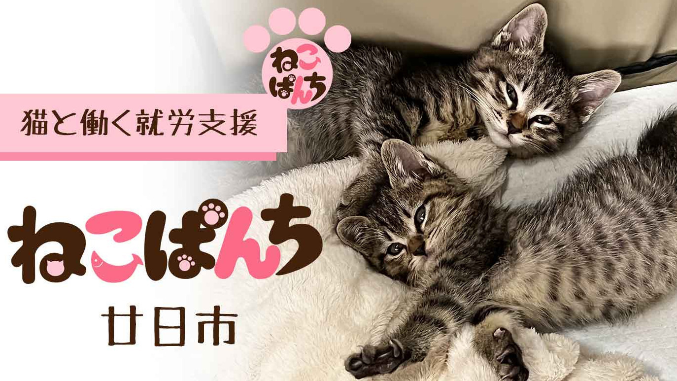 ねこぱんち廿日市