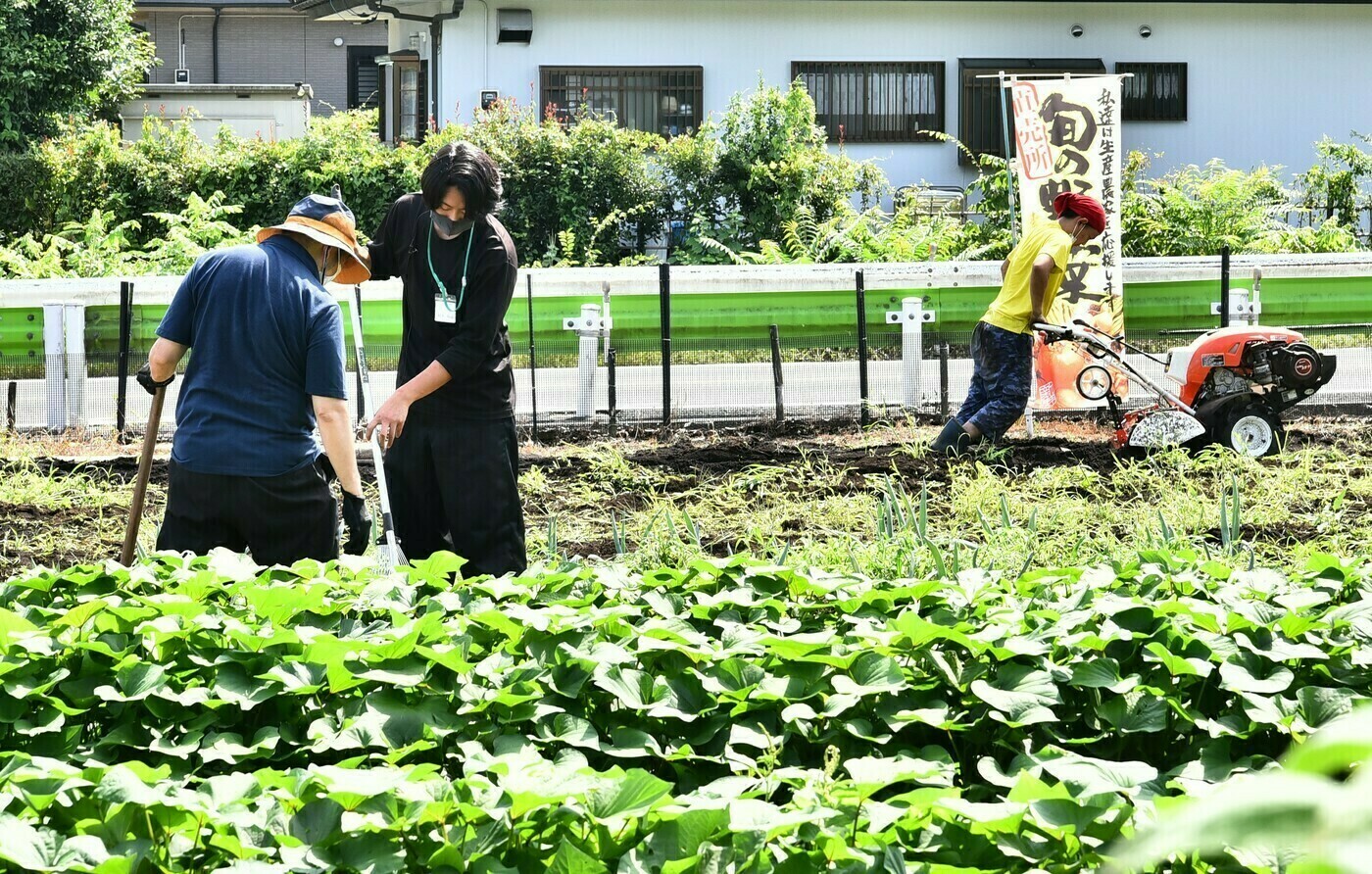 就労支援てらす