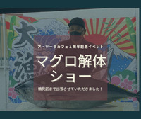 マグロ解体ショー①