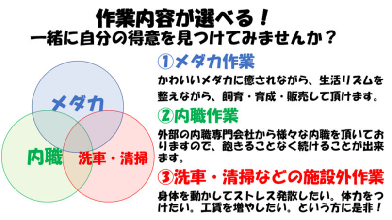 START WORK(兵庫県尼崎市の就労継続支援B型事業所)の詳細情報