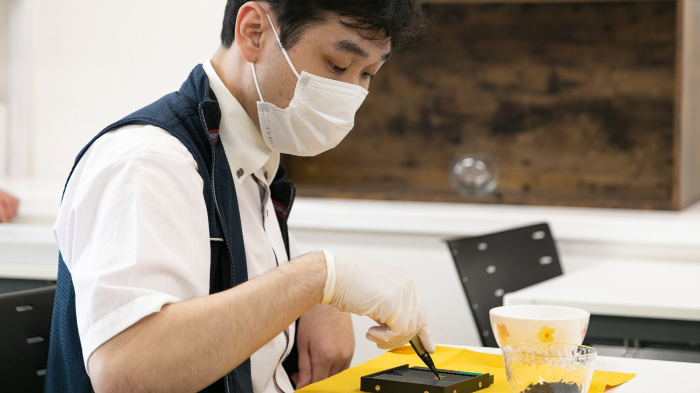 写真31227