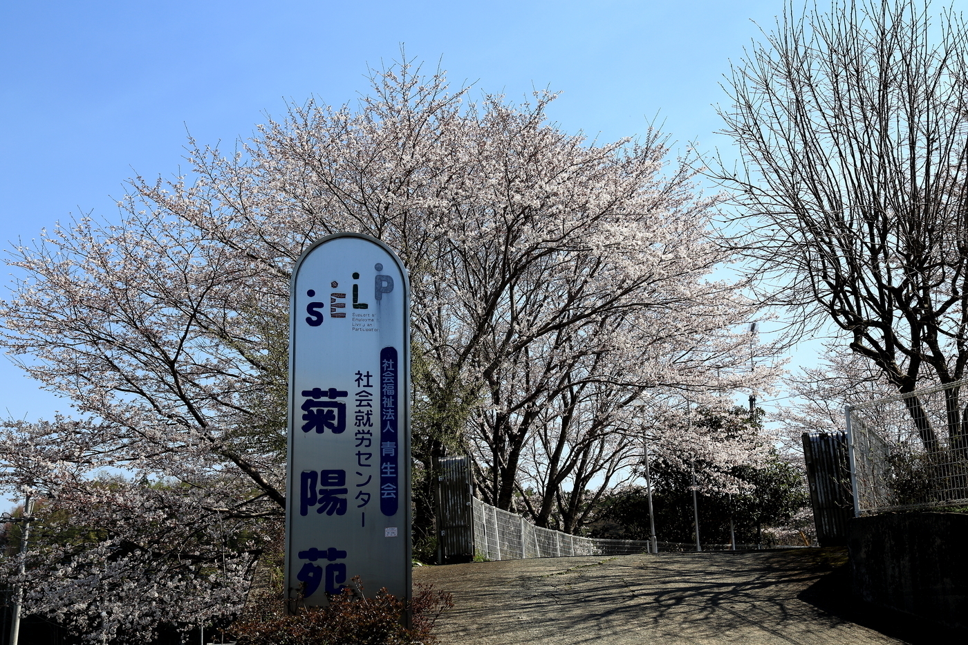 写真31447