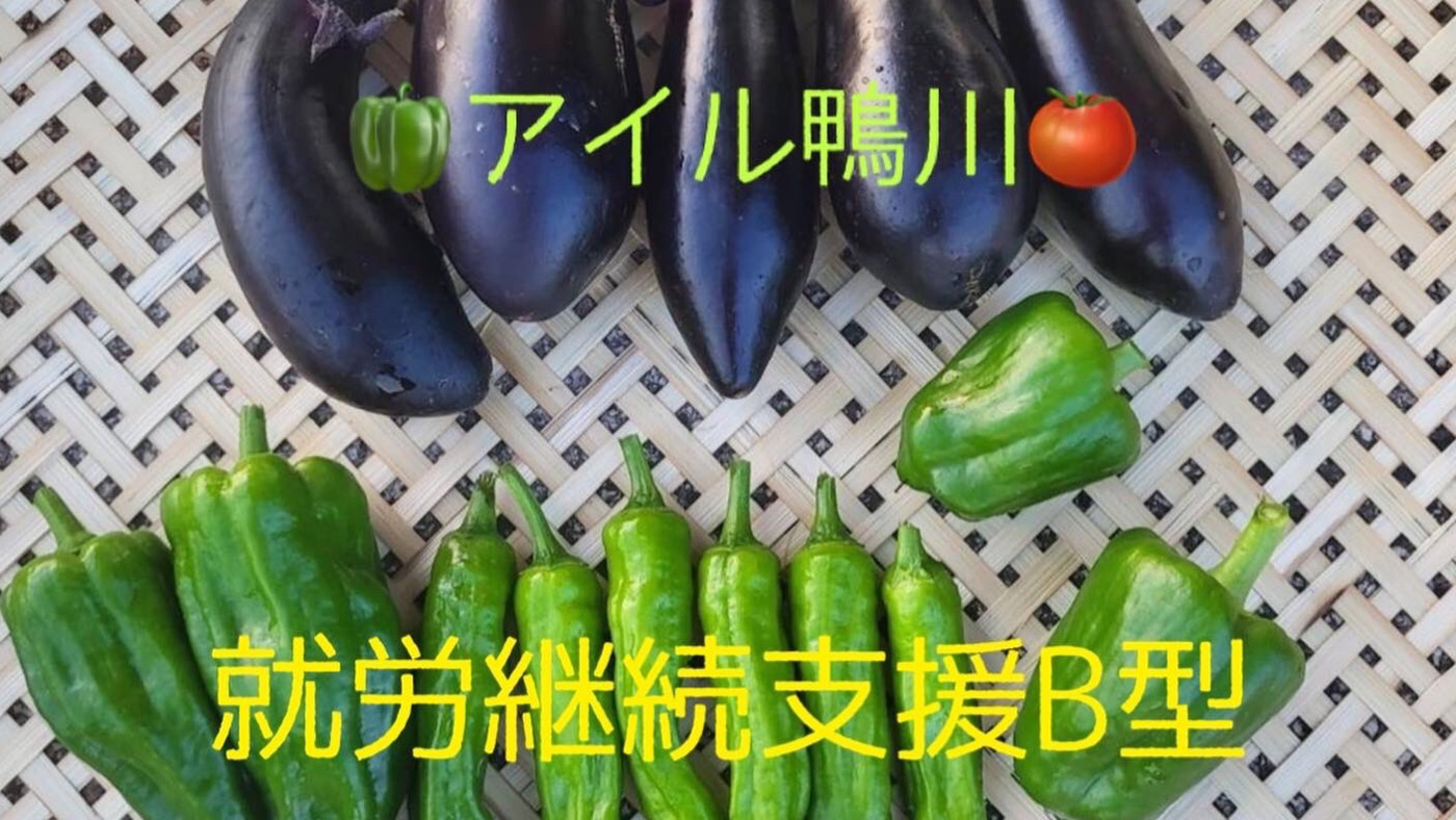 アイル鴨川