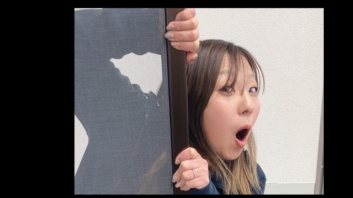 橋本