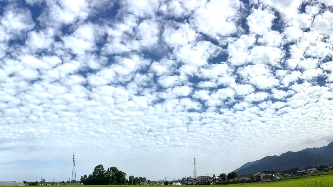 写真23003
