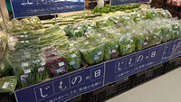 豊富な種類の野菜をズラリと陳列させて頂いております。