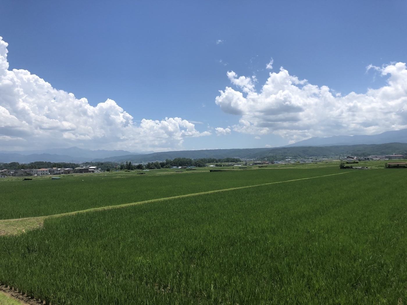 ジョブテラス山の畑